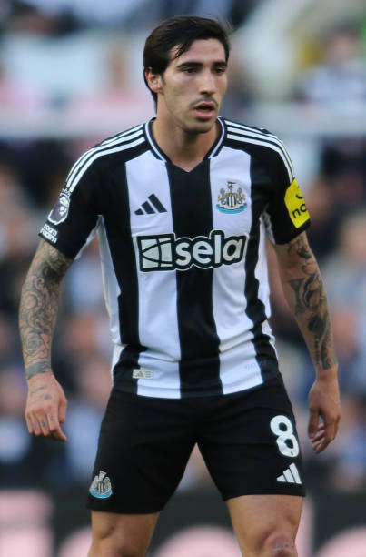 围绕本土最 围绕本土最